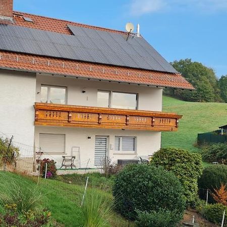 Ferienwohnung Im Gruenen Heppenheim  Buitenkant foto